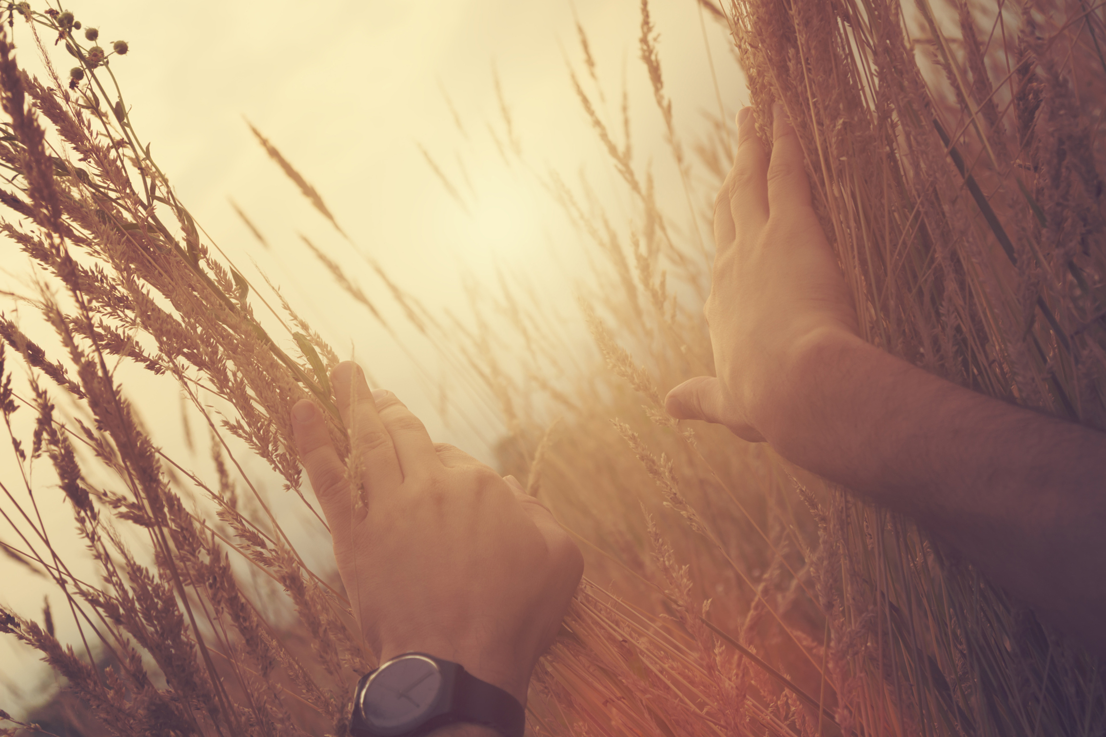 iStock-486939358-1
